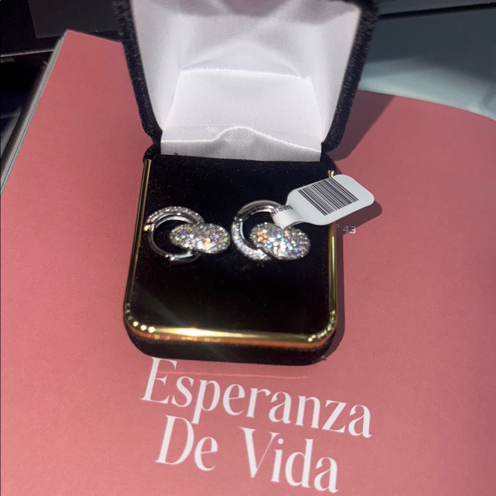 Silver and Gold Earrings